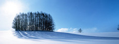 зима, пейзажи, деревья, снег, свет, день, небо