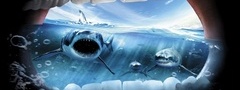 зубы, акула, под водой