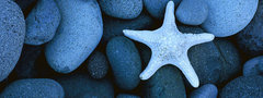 камни, морская звезда, голубое