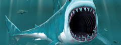 акула,зубы,океан