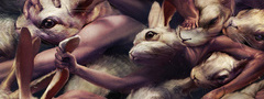 Ryohei Hase, кролики, погоня, борьба