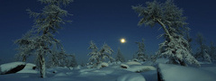 природа, зима, Луна, ночь