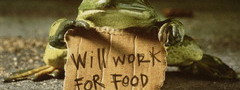 жаба, работаю за еду, табличка, объявление, работа