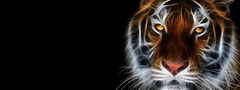 тигр, свет, лучи, фотошоп