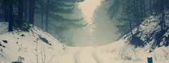 лес, елки, снег, зима, туман, дорога, хвоя