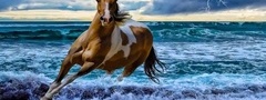 лошадь, конь, молния, море