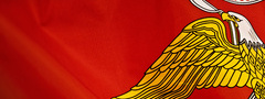 флаг, красный, орел, желтый