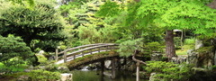 японский сад, япония, мост, зелень, лето, вода