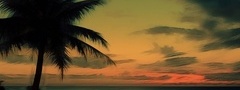 закат, вечер, тропики, пальма, небо, облака, море, штрихи, горизонт
