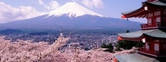 токио, фудзияма, гора, сакура, весна, пагода, город