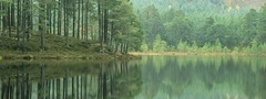 шотландия, озеро, эйлен, лес, деревья, холм, отражение