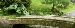 япония, японский сад, мост, камень, сосна