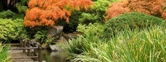 япония, японский сад, веранда, вода, камни, деревья