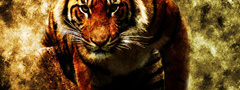тигр, животное, фотошоп