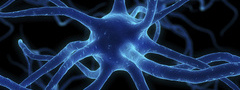 нейрон, нервы, клетка