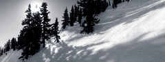зима, снег, солнце, небо, сосны, елки, деревья, арт, Greg Martin