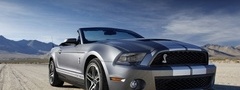 ford, shelby, gt500, convertible, 2010, 