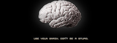 серый, мозг, мозги, думать, воплощать
