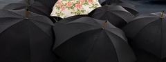 Зонт, черный, цветной