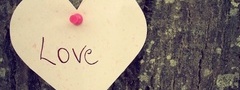 любовь, сердце, дерево, надпись