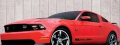 , shelby, gt500, , 