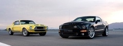 , ford, gt500, mustang, shelby