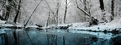 природа, зима, озеро, деревья, снег, иней
