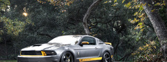 ford, mustang, gt, silvery, , , ,  ,  ...