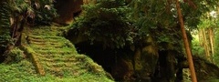 Пещера, лестница, лес
