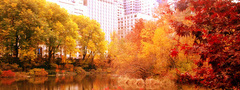 природа, осень, озеро, деревья, листья