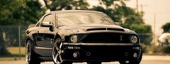 Ford, , Mustang, 