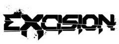 Excision  