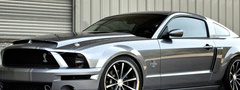ford, mustang, shelby, cobra, , ,  , ,  , c ...