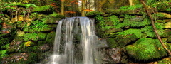 водопад в лесу
