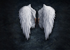 крылья, aeon, ангельские крылья