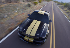 ford, shelby gt-500, , 