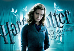 WB, Harry Potter,  