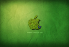 apple, , greenpeace