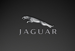 Jaguar, , 