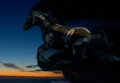 ночь, конь