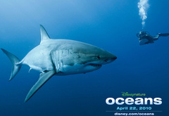 фильм, океаны, документальное кино, акула, дисней