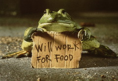 жаба, работаю за еду, табличка, объявление, работа
