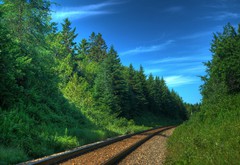 рельсы, шпалы, деревья, леса, поезда, транспорт, природа, фото