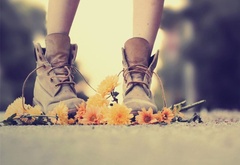 цветы, дорога, ботинки, нежно