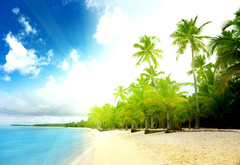 пейзажи, пляж, песок, пальмы, вода, море, океан, лето, берег, волны, облака, небо, солнце