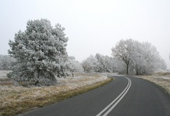 дорога, зима, иней, деревья