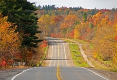 дорога, шоссе, холмы, осень, лес, деревья