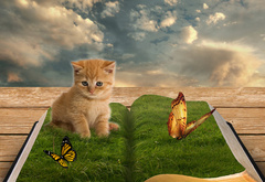 Котёнок, Живая книга, Бабочки