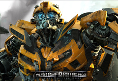 transformers, , bumblebee