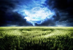 природа, небо, облака, трава, яркие
